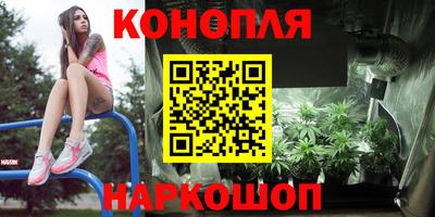 PSILOCYBIN Кандалакша