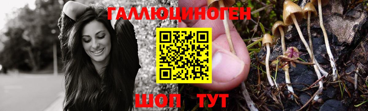 Галлюциногенные грибы мицелий  Псилоцибиновые грибы ЛСД  Вход с VPN  Бирск 